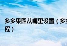 多多果园从哪里设置（多多果园在哪里打开,多多果园打开教程）