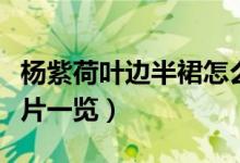 杨紫荷叶边半裙怎么回事（杨紫荷叶边半裙照片一览）