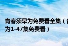 青春须早为免费看全集（青春须早为电视剧免费版 青春须早为1-47集免费看）