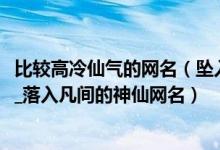 比较高冷仙气的网名（坠入星河的温柔网名_仙气超甜的网名_落入凡间的神仙网名）