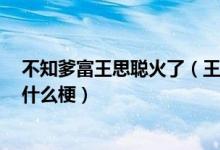 不知爹富王思聪火了（王思聪为什么得这个外号 怎么回事 什么梗）