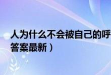 人为什么不会被自己的呼噜声吵醒（5月29日今日蚂蚁庄园答案最新）