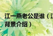 江一燕老公是谁（江一燕老公赵汉唐个人资料背景介绍）