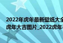 2022年虎年最新壁纸大全（2022年虎年大吉壁纸_2022年虎年大吉图片_2022虎年手机壁纸）