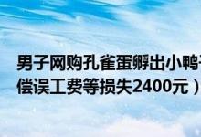 男子网购孔雀蛋孵出小鸭子（男子网购孔雀蛋孵出鸭子获赔偿误工费等损失2400元）