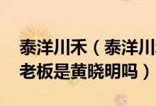 泰洋川禾（泰洋川禾旗下艺人名单 泰洋川禾老板是黄晓明吗）