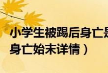 小学生被踢后身亡是怎么回事（小学生被踢后身亡始末详情）