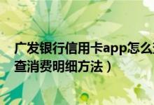 广发银行信用卡app怎么查消费明细（广发银行信用卡app查消费明细方法）