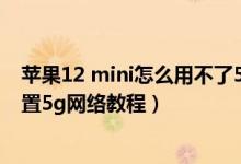 苹果12 mini怎么用不了5g网络（苹果12mini怎么开5g,设置5g网络教程）