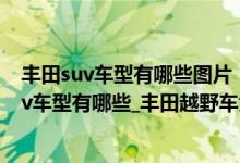 丰田suv车型有哪些图片（丰田suv车型大全_丰田紧凑型suv车型有哪些_丰田越野车大全价格表）