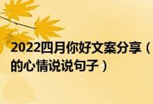 2022四月你好文案分享（四月你好朋友圈说说文案 4月你好的心情说说句子）