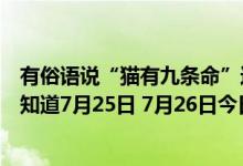 有俗语说“猫有九条命”这是真的吗（小鸡宝宝今日答案早知道7月25日 7月26日今日蚂蚁庄园答案最新）