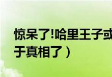 惊呆了!哈里王子或派非洲到底什么情况（终于真相了）