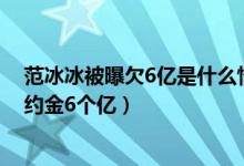 范冰冰被曝欠6亿是什么情况（知情人士曝范冰冰欠代言违约金6个亿）