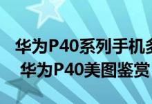 华为P40系列手机多少钱（华为P40手机参数 华为P40美图鉴赏）