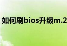 如何刷bios升级m.2固态协议（如何刷bios）