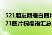 521朋友圈表白图片大全（2018表白女朋友521图片祝福语汇总）