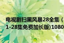 电视剧扫黑风暴28全集（扫黑风暴全集免费播放 扫黑风暴(1-28集免费加长版)1080p高清）