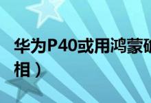 华为P40或用鸿蒙确定吗（为什么只用鸿蒙真相）