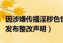 因涉嫌传播淫秽色情内容被查出（晋江文学城发布整改声明）