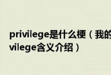 privilege是什么梗（我的高傲已经尽数体现了什么意思 privilege含义介绍）