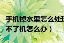 手机掉水里怎么处理（手机掉水里没有声音开不了机怎么办）