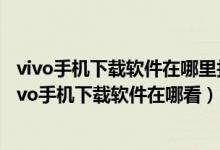 vivo手机下载软件在哪里找到（vivo手机下载软件在哪里,vivo手机下载软件在哪看）