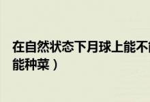 在自然状态下月球上能不能种菜（在自然状态下月球上能不能种菜）