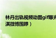 林丹出轨视频动图gif曝光（被传出轨对象为赵雅淇 附赵雅淇微博围脖）