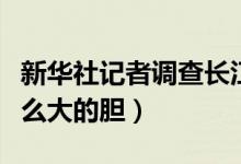 新华社记者调查长江口建空城怎么回事（谁这么大的胆）