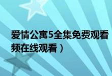 爱情公寓5全集免费观看（爱情公寓第五季全集高清正版视频在线观看）