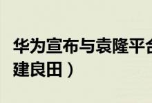 华为宣布与袁隆平合作培养海水稻（盐碱地改建良田）