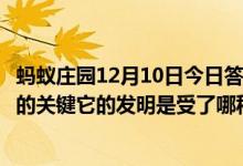 蚂蚁庄园12月10日今日答案大全（圆珠笔尖的球珠是写好字的关键它的发明是受了哪种运动的启发）