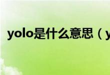 yolo是什么意思（yolo是什么梗【图解】）