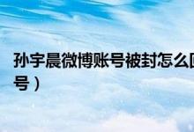 孙宇晨微博账号被封怎么回事（孙宇晨是谁 孙宇晨回应被封号）