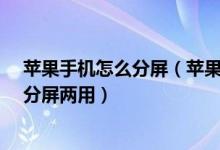 苹果手机怎么分屏（苹果手机怎么开双屏模式 苹果11怎么分屏两用）