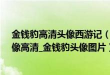 金钱豹高清头像西游记（金钱豹头像高清西游记_金钱豹头像高清_金钱豹头像图片）