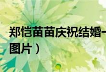 郑恺苗苗庆祝结婚一周年（郑恺的女朋友苗苗图片）