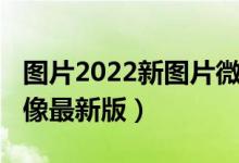 图片2022新图片微信头像（2022微信情侣头像最新版）