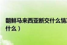 朝鲜马来西亚断交什么情况（朝鲜马来西亚断交原因究竟是什么）