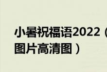 小暑祝福语2022（小暑图片大全2022 小暑图片高清图）