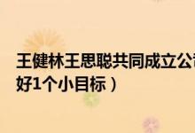 王健林王思聪共同成立公司怎么回事（网友调侃注册资本刚好1个小目标）