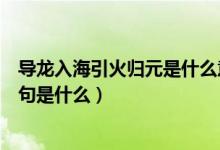 导龙入海引火归元是什么意思（猎场导龙入海引海归元下一句是什么）