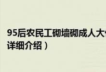 95后农民工砌墙砌成人大代表（95后农民工的人大代表之路详细介绍）