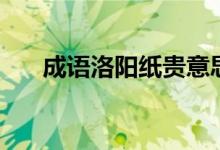 成语洛阳纸贵意思（洛阳纸贵的意思）