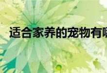 适合家养的宠物有哪些（家养宠物的类型）