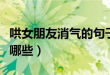 哄女朋友消气的句子（哄女朋友消气的句子有哪些）