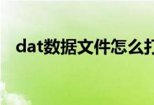 dat数据文件怎么打开（有什么操作办法）