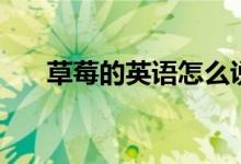 草莓的英语怎么说（草莓的英语解释）