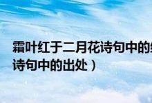 霜叶红于二月花诗句中的红于是什么意思（霜叶红于二月花诗句中的出处）